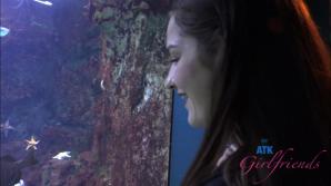 Violet Viper Aquarium Part 1